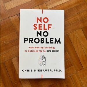 No Self, No Problem by Chris Niebauer | Mindfulness & Neuroscience
